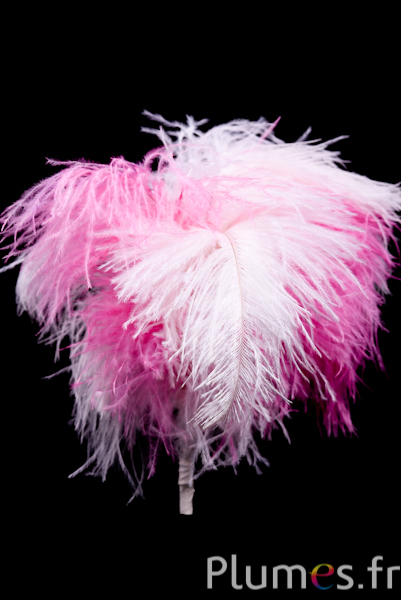 Plumet autruche - 8 plumes, hauteur 25 cm - rose camaïeu